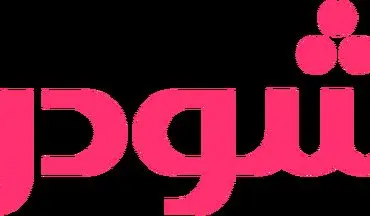 معرفی چند تا از بهترین برند های حوله خشک کن در ایران