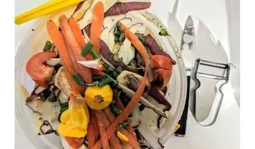 چرا کاهش ضایعات غذایی از مبارزه با چاقی سخت‌تر است