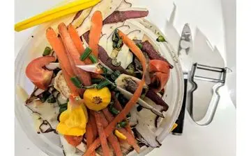 چرا کاهش ضایعات غذایی از مبارزه با چاقی سخت‌تر است