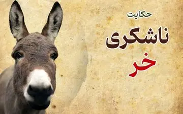 حکایت کوتاه و آموزنده ناشکری خر از دفتر پنجم مثنوی معنوی مولانا
