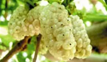 دیگر برای افسردگی قرص و دارو نخورید!