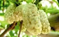 دیگر برای افسردگی قرص و دارو نخورید!