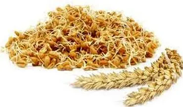 جوانه گندم چگونه برای سلامتی مفید است؟آیا مصرف جوانه گندم عوارض جانبی دارد؟