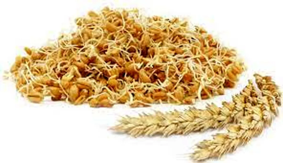 جوانه گندم چگونه برای سلامتی مفید است؟آیا مصرف جوانه گندم عوارض جانبی دارد؟