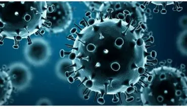  عبور شیوع آنفلوآنزا از حد هشدار/ همه استان‌ها درگیرند 