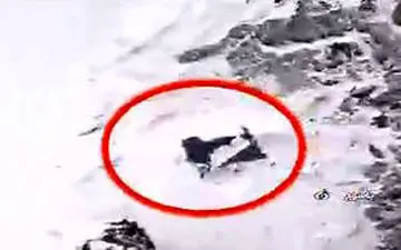یکی از کوهنوردان اعزامی به محل لاشه هواپیما: شایعه زنده ماندن چند نفر از مسافران در لحظه حادثه غیر ممکن است