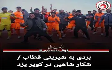 بردی به شیرینی قطاب / شکار شاهین در کویر یزد