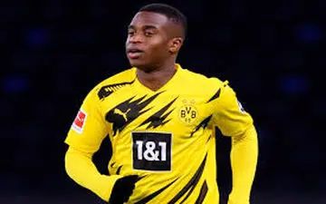 پدیده دورتموند به خوبی کروس و گوتسه
