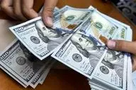 بهادری جهرمی: افزایش قیمت دلار دلیل اقتصادی ندارد
