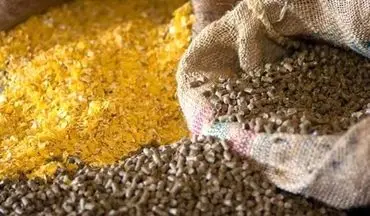 عملیات موفق پلیس: کشف نهاده‌های دامی میلیاردی در سنقر