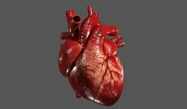 یک راز غذایی که روند پیری قلب را کند می کند