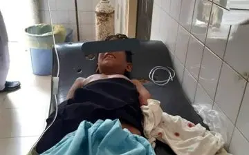 تهاجمی شدن گاندو‌ها در فصل زاد و ولد دردسر ساز شد