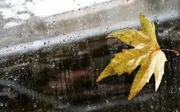 هشدار در مورد پیامدهای پنهان بارش‌های پاییزی