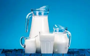 تاثیر مصرف شیر بر مغز