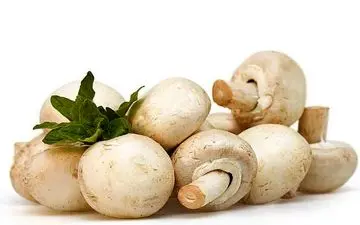 خطراتی که مصرف بیش از اندازه قارچ به همراه دارد