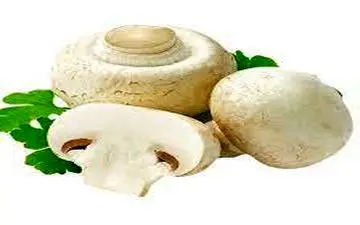 از فواید قارچ برای آقایان خبر دارید؟

