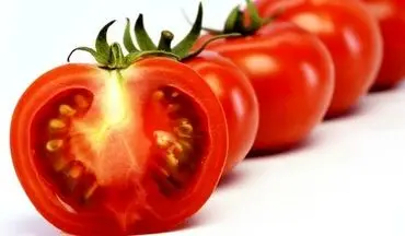 عوارض رگه های سفید گوجه فرنگی