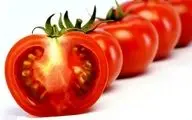 عوارض رگه های سفید گوجه فرنگی