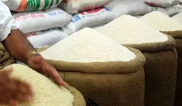 برنج با قیمت جدید به بازار امروز رسید - ۱۸ مرداد ۱۴۰۴