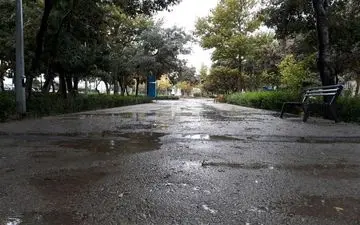  مدیرکل پیش‌بینی سازمان هواشناسی خبر داد