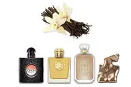 عطرهای وانیلی که دل هر کسی را می‌برند! ۴ پیشنهاد برای طرفداران این رایحه
