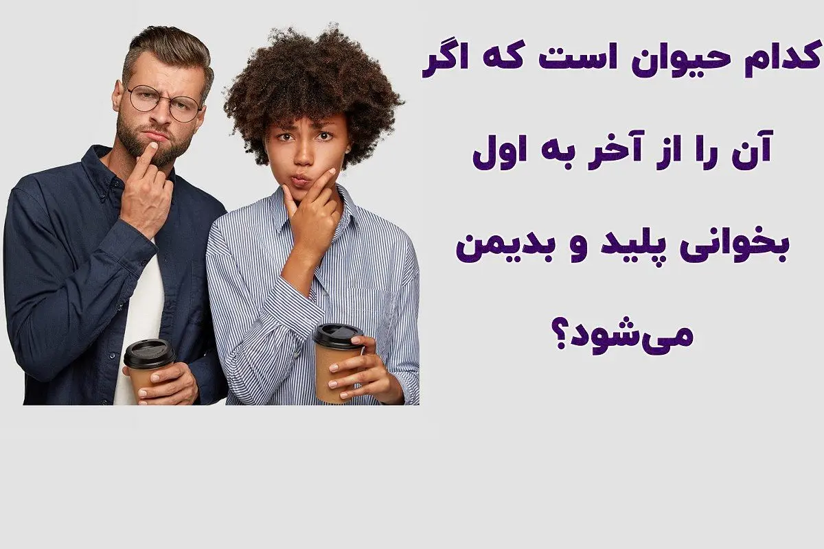 چیستان | حیوانی که با خواندن اسمش از آخر به اول پلید می‌شود؟