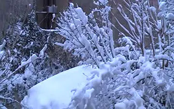 ایران یکپارچه سفیدپوش شد + فیلم