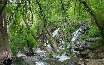 تعطیلی تفرجگاه‌های درگز 