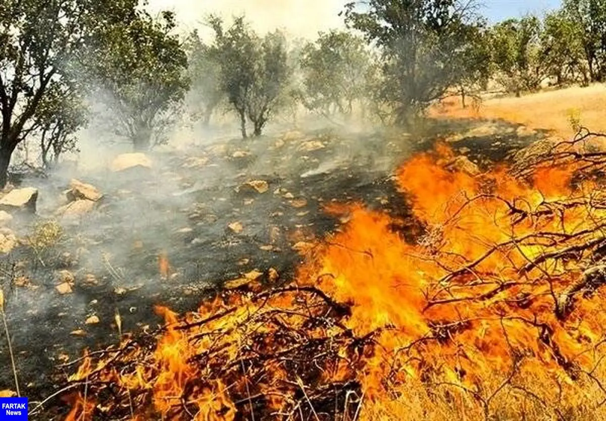 یک فروند هواپیمای "ایلوشن" برای اطفا حریق عازم "بوزین و مرخیل" پاوه شد

