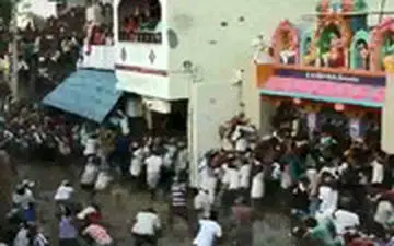 جشن هندوها با پرتاب پِهِنِ گاو به یکدیگر!