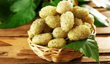 با این میوه افسردگی را دور کنید؛ توت سفید، معجزه طبیعت برای آرامش ذهن