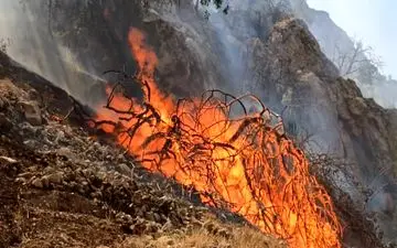 آتش‌سوزی کوه‌ پیچاب باشت مهار شد 
