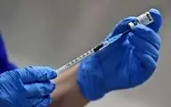 چه واکسن‌هایی برای شرکت در پیاده‌روی اربعین لازم است؟/ راهنمای پزشکی زائران اربعین ۱۴۰۴