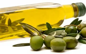 روغن زیتون ارز دولتی نمی‌خواهد