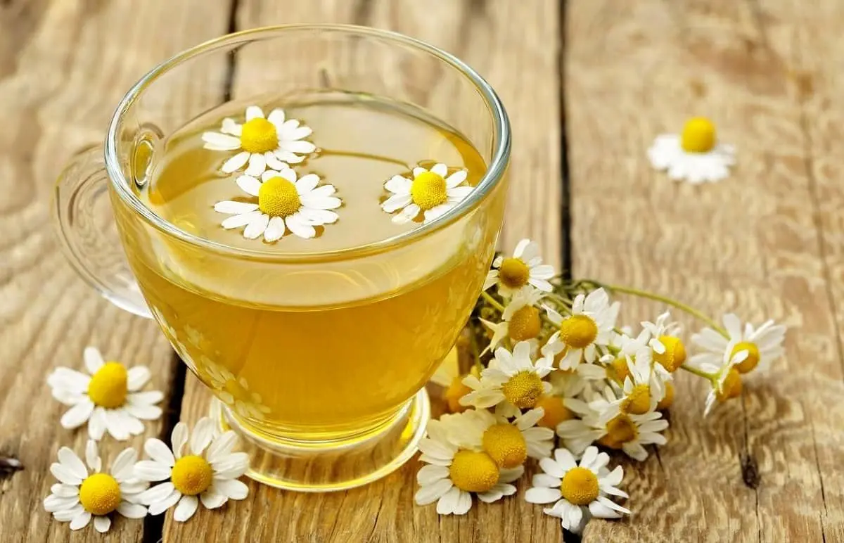 بیخوابی در تابستان امانتان را بریده؟ این نوشیدنی ساده را امتحان کنید