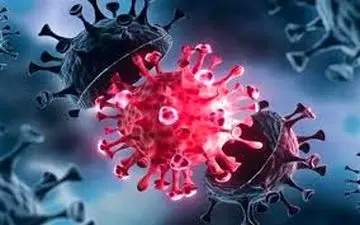 گونه‌های جدید کووید۱۹ / گروه جدیدی از گونه جهش یافته ویروس کووید 