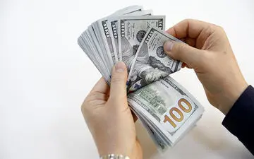  افزایش قیمت دلار در بازار ترکیه شدت گرفته است