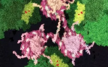 داروهای جدیدی که سرطان را میخکوب می کنند