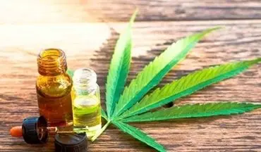 علائمی شبیه روان‌پریشی و جنون در کمین مصرف کنندگان گل