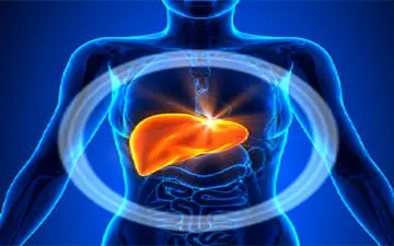 درمان و تغذیه کبد چرب