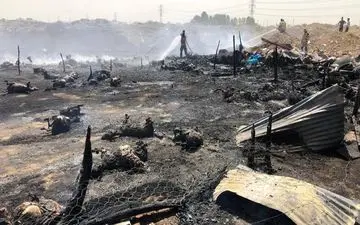 حریق گسترده یک دامداری دراتوبان تهران ـ قم/ 150 دام تلف شد