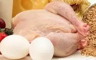 تعلل نهادهای نظارتی در برخورد با گرانی مرغ
