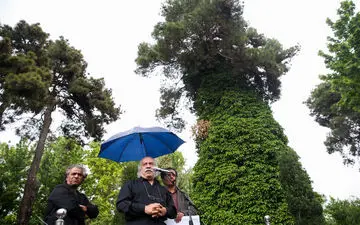 پیش‌بینی بارش باران و وزش باد در روزهای پایانی اردیبهشت ماه