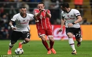  جریمه احتمالی بشیکتاش به خاطر گربه مزاحم