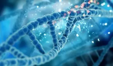 طول عمر ارثی است؟