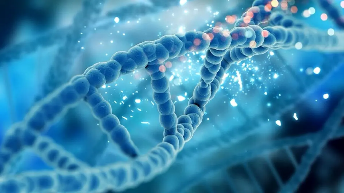 طول عمر ارثی است؟