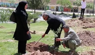 ‍ 

پویش کاشت درخت یادبود در کرمانشاه برگزار شد


 