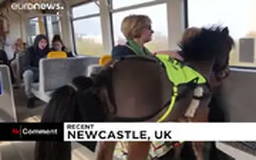 کره اسبی که صاحب کم‌بینایش را سوار مترو می‌کند