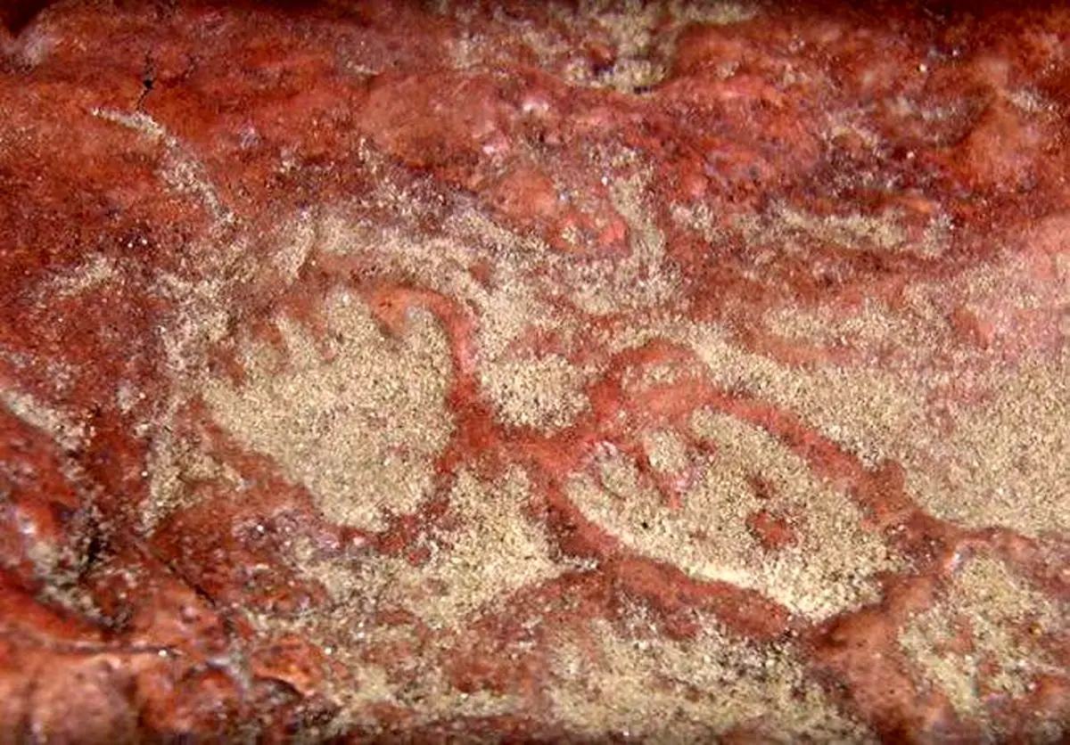 کشف تخته سنگی که نشان می‌دهد دایناسورها و پستانداران در تعامل بوده‌اند