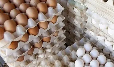  آزاد شدن صادرات، تخم مرغ را گران کرد